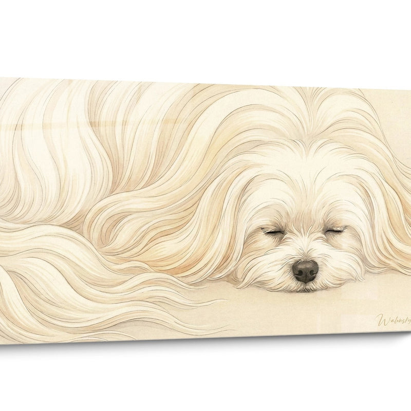 Maltese Dog Wall Art