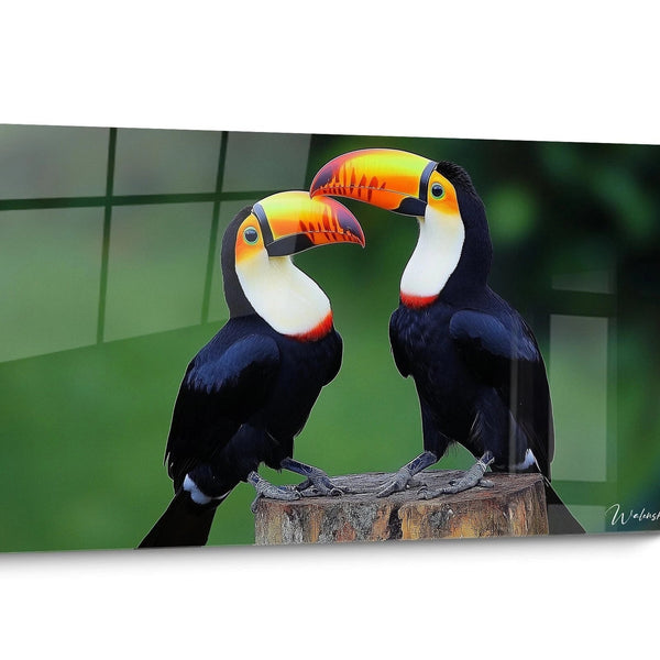 Quadro Tucano Realistico