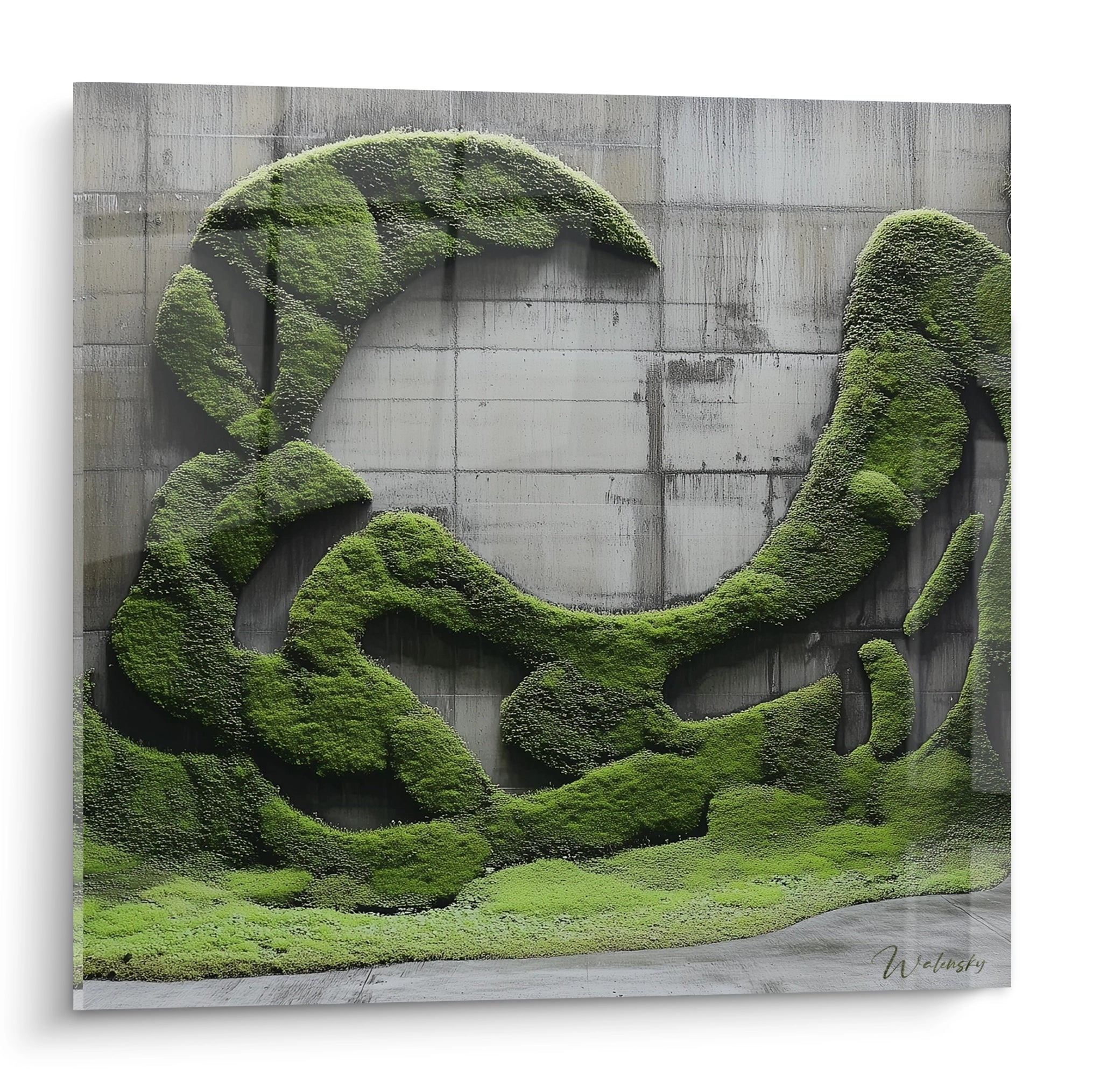 Un tableau artistique représentant une forme circulaire de mousse végétale en relief sur fond de béton gris, avec différentes nuances de vert, créant un contraste entre nature et urbanité à travers une texture tridimensionnelle vivante.
