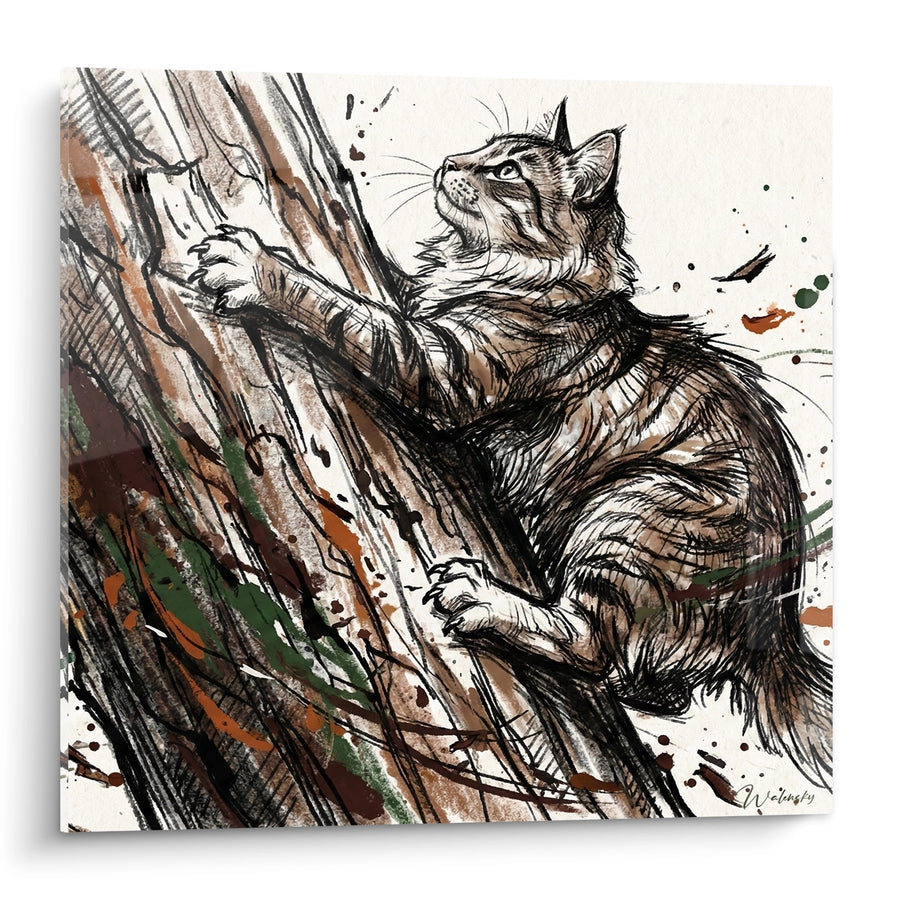 Tableau Chat perché sur un arbre - Grimpeur des forêts - Edition chat Norwegian Forest Cat