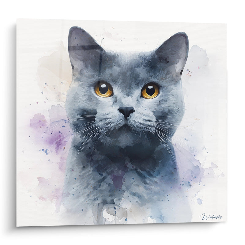 Tableau Chat Chartreux Aquarelle - Regard Doré - Edition chat Chartreux