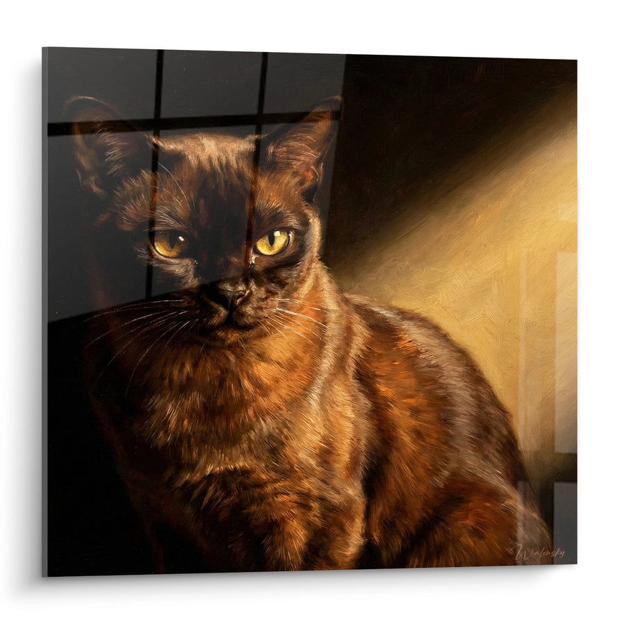 Tableau Chat Burmese au Regard Doré - Portrait Contemplatif - Edition chat Burmese