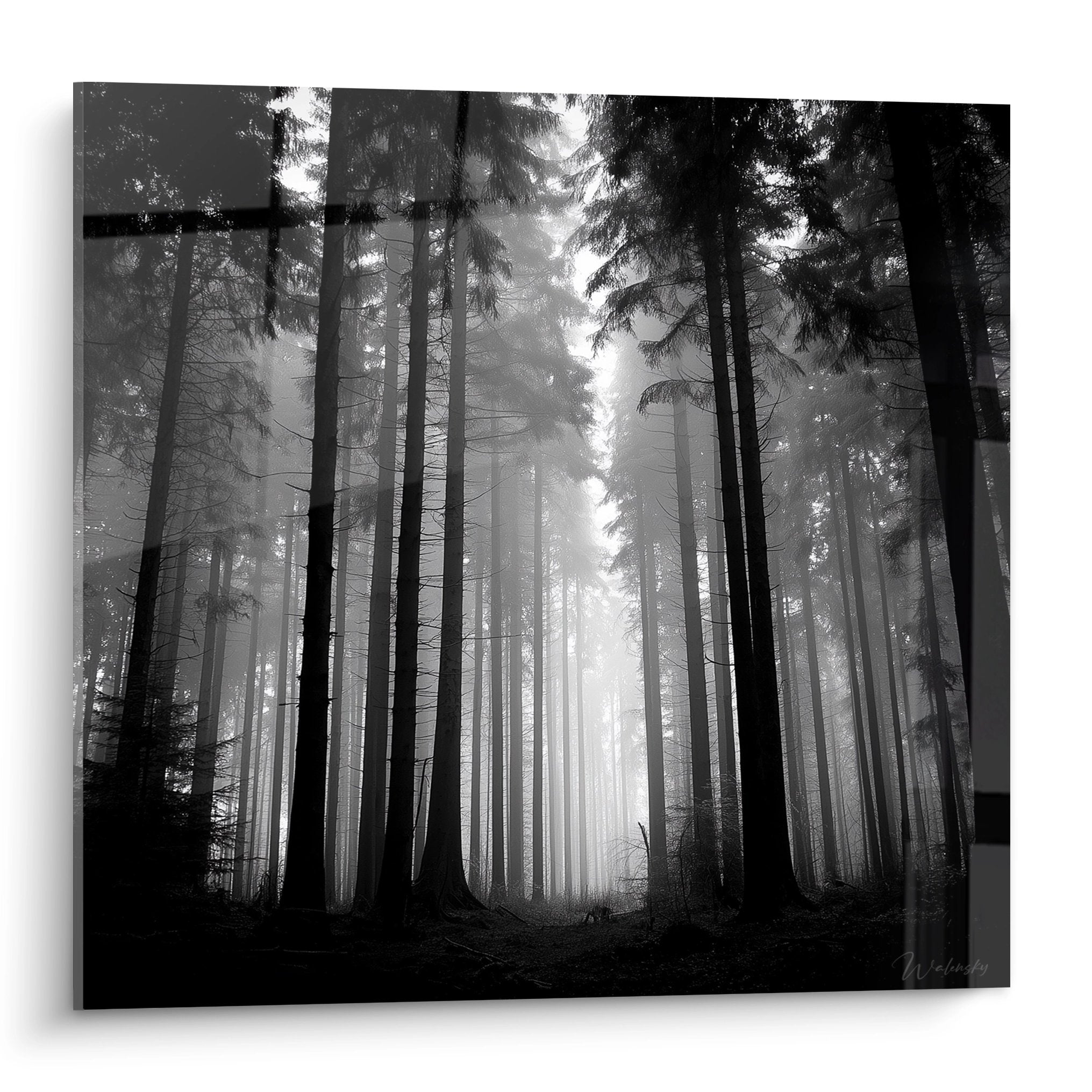 Tableau noir et blanc foret de sapins dans la brume lumiere mysterieuse art mural Vosges decoration nature