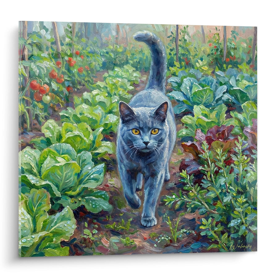 Cuadro Gato Azul de Bretaña en el Huerto - Paseo Matutino - Edición Gato Azul de Bretaña