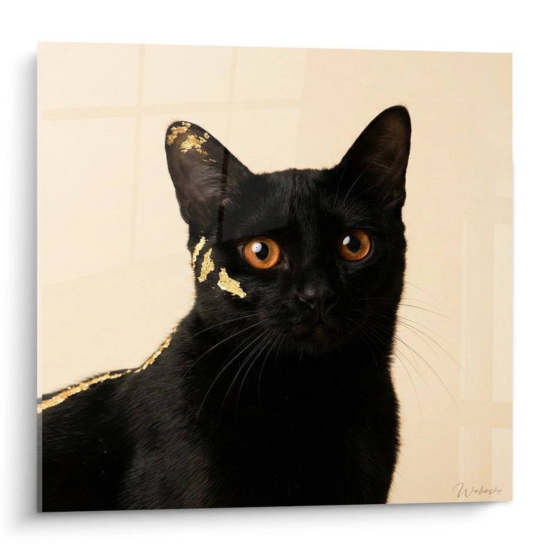 Schwarze Katze mit Vergoldung - Mystische Eleganz - Bombay Katzen Edition