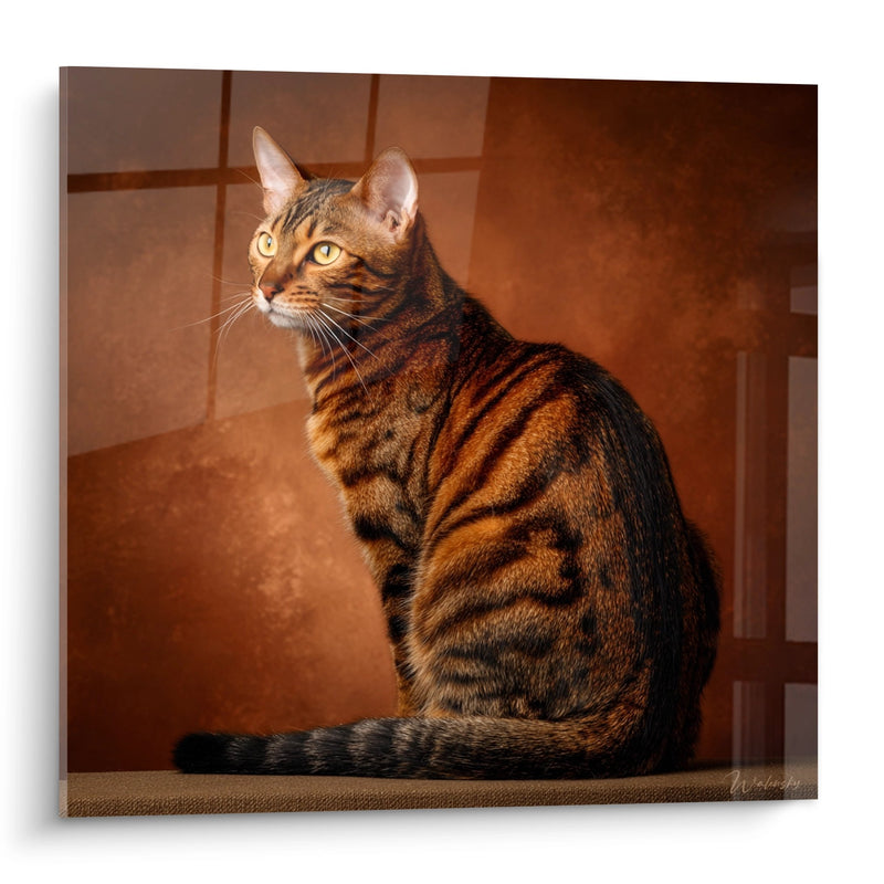 Wandgemälde Sitzende Toyger-Katze - Elegance Fauve - Edition Toyger-Katze