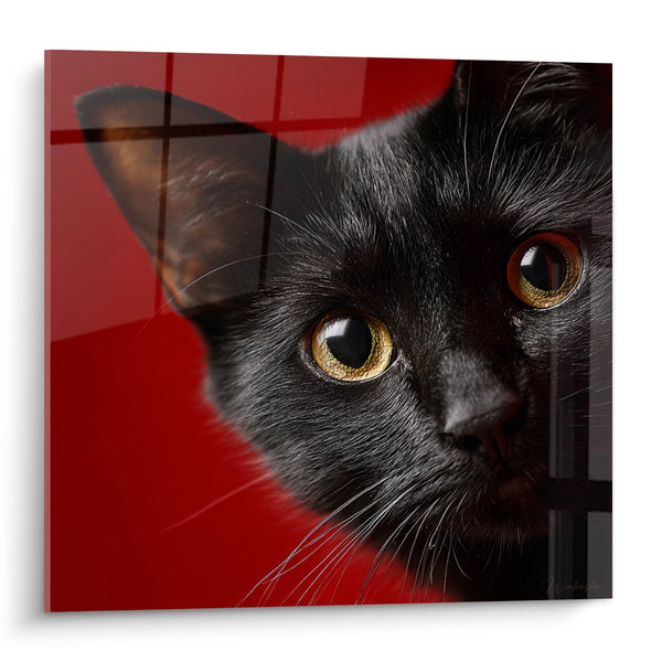Cuadro Gato Negro con Ojos Dorados - Mirada Mística - Edición gato Bombay