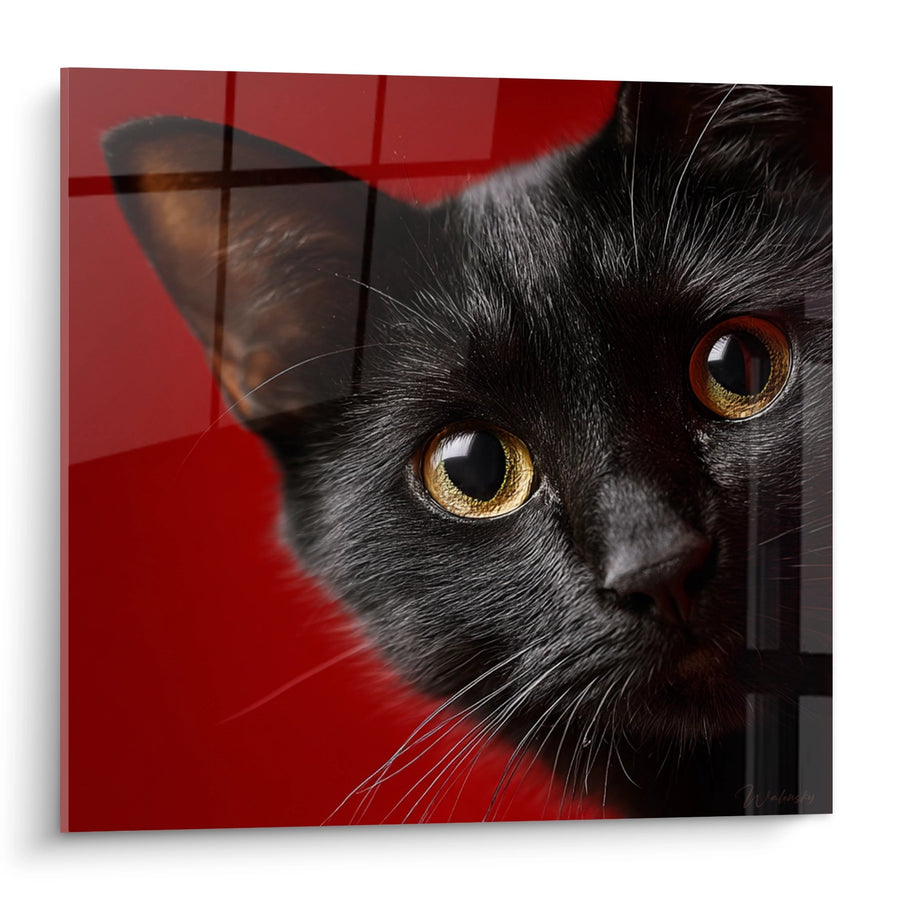 Tableau Chat Noir aux Yeux Dorés - Regard Mystique - Edition chat Bombay