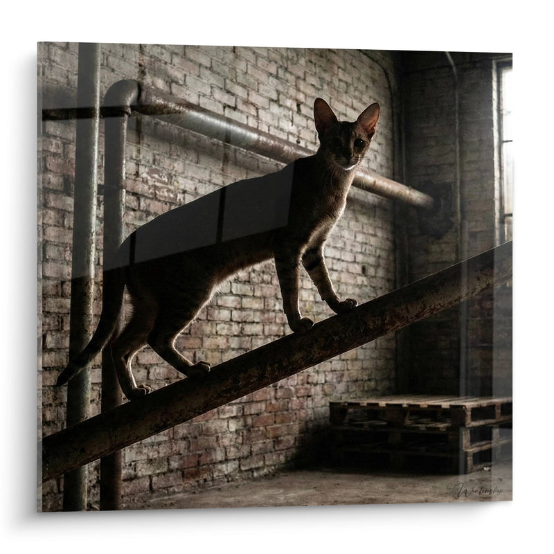 Tableau Chat Chausie sur Escalier Industriel - Grâce Urbaine - Edition chat Chausie