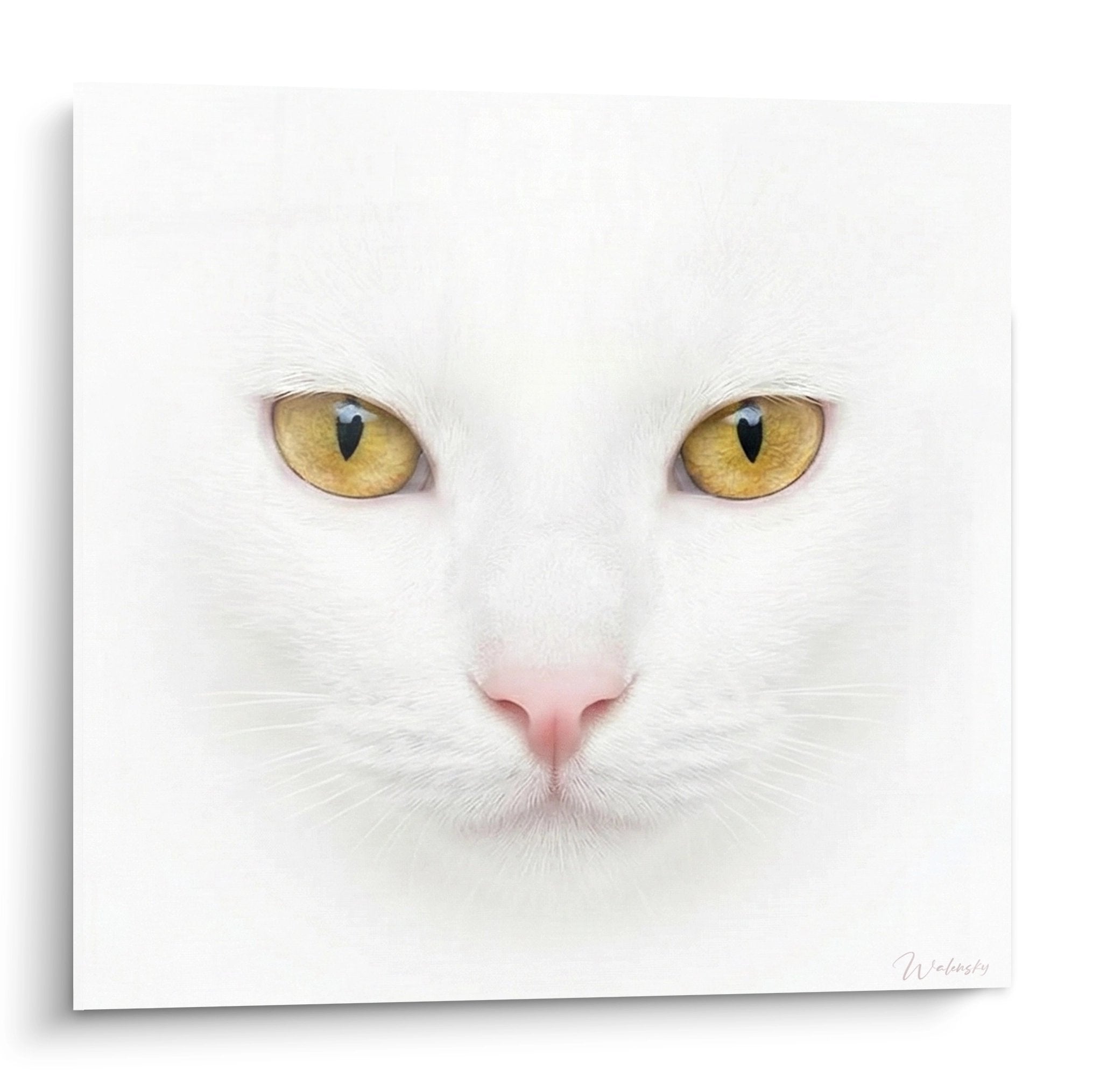 Portrait artistique chat Khao Manee blanc aux yeux dores sur tableau mural decoration interieure feline