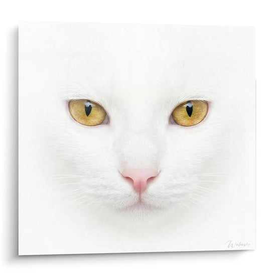 Schilderij Portret Witte Kat met Gouden Ogen - Hypnotische Blik - Editie Khao Manee kat