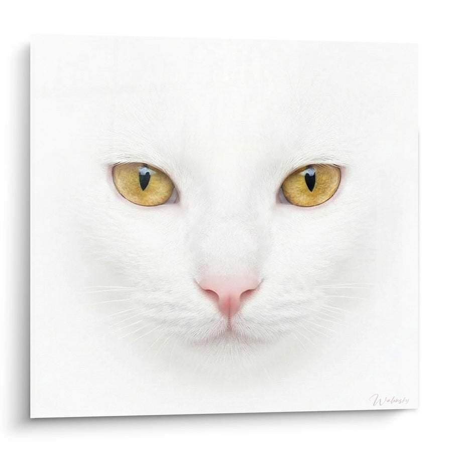 Tableau Portrait Chat Blanc aux Yeux d'Or - Regard Hypnotique - Edition chat Khao Manee