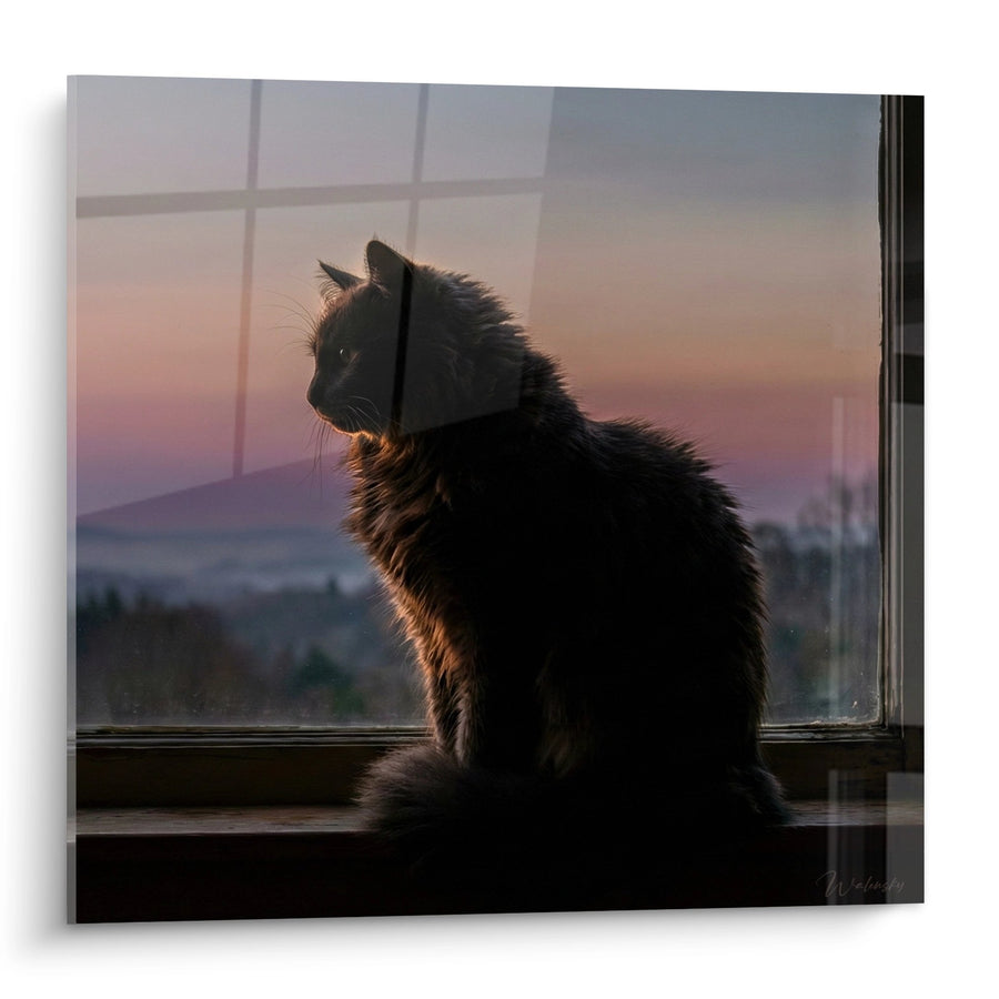 Tableau Chat Nebelung à la Fenêtre - Contemplation Crépusculaire - Edition chat Nebelung