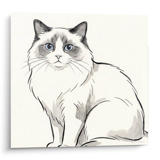 Schilderij Kat Ragdoll Zittend - Elegant Aquarel Portret - Editie kat Ragdoll