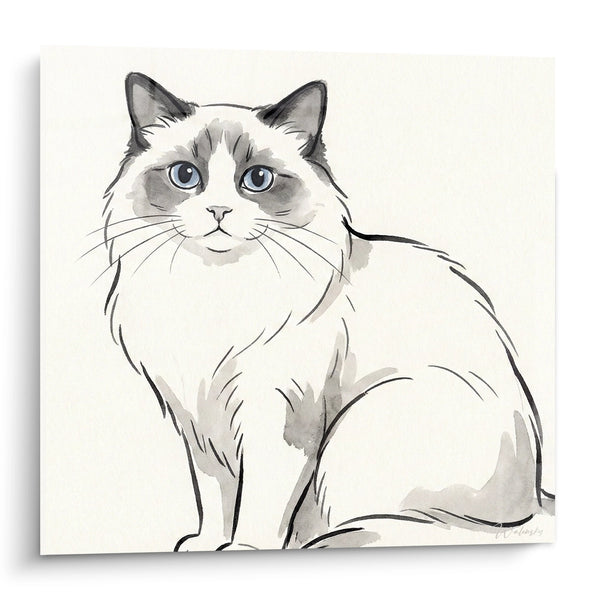 Obraz Kota Ragdoll Siedzącego - Elegancki Portret Akwarelowy - Edycja Kota Ragdoll