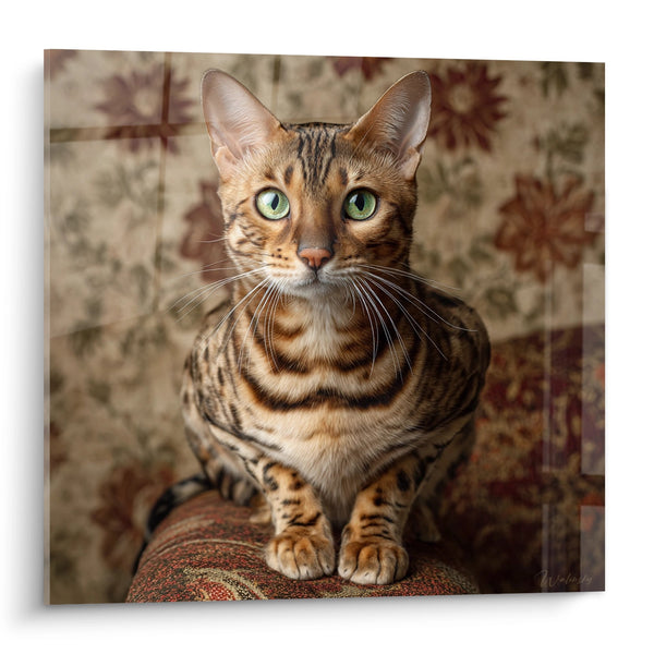 Schilderij Bengaalse Kat Majestueus Portret - Smaragdgroene Blik - Bengaalse kat Editie
