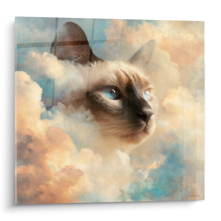 Tableau Chat Tonkinese dans les Nuages - Rêve Céleste - Edition chat Tonkinese