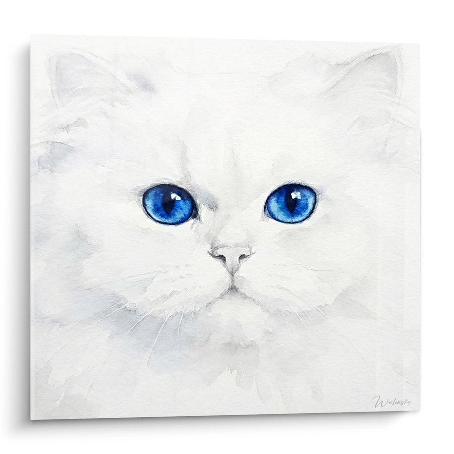 Tableau Chat Persan Blanc aux Yeux Bleus - Regard Envoûtant - Edition chat Persan