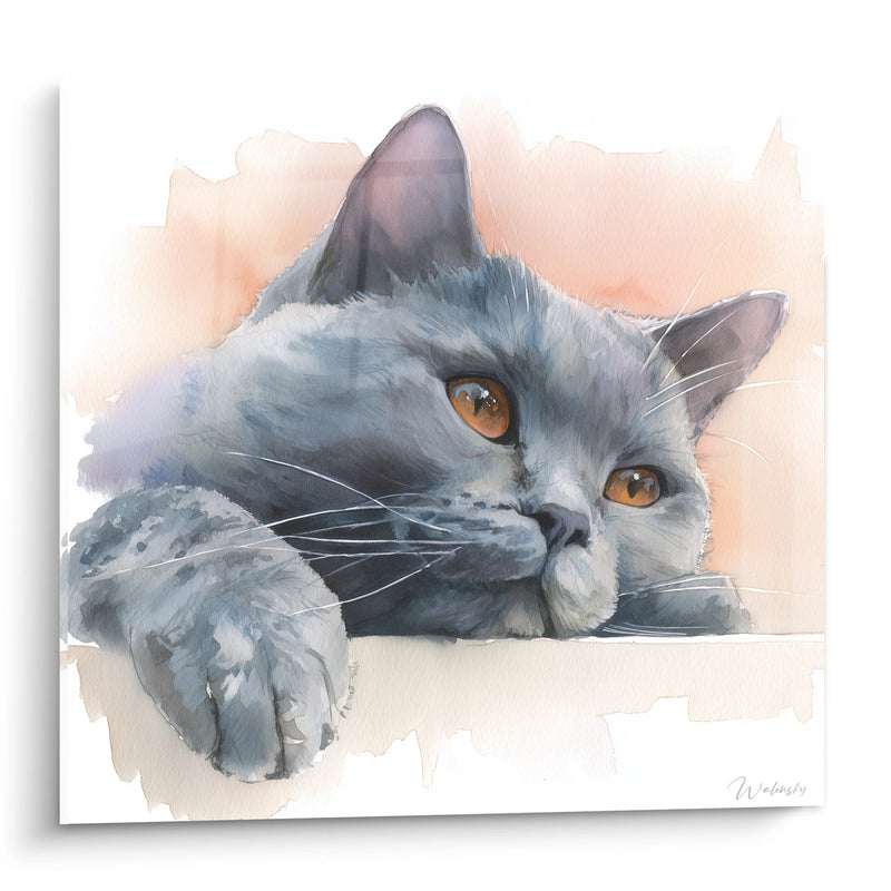 Gemälde Chartreux-Katze Aquarell - Zarter Blick - Edition Chartreux-Katze