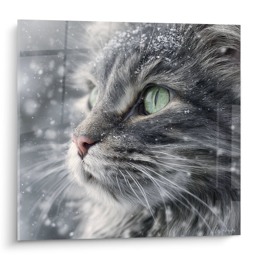 Tableau Chat aux Yeux Verts sous la Neige - Regard Hivernal - Edition chat American Bobtail