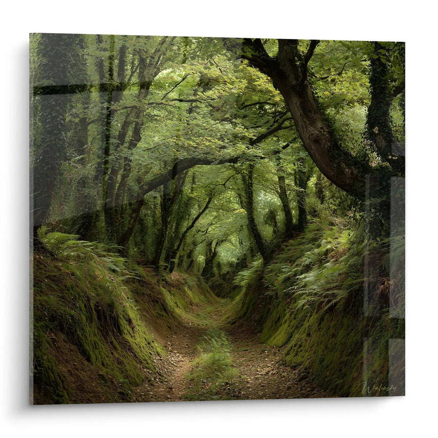 Tableau Chemin Forestier Enchanteur - Mystères de Normandie - Edition Normandie