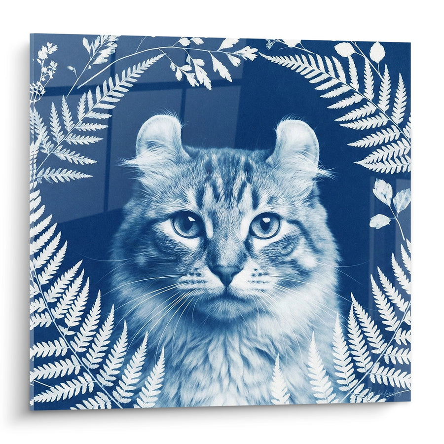 Tableau Chat American Curl Bleu Fougères - Poésie Botanique - Edition chat American Curl