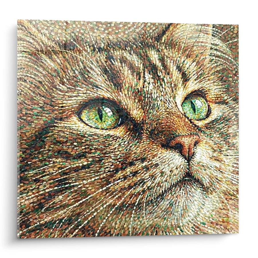 Tableau Chat Ragamuffin Yeux Verts - Portrait Mosaïque - Edition chat Ragamuffin