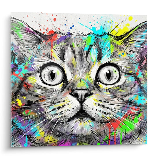 Quadro street art gatto con occhi verdi e schizzi multicolori rosso blu giallo verde su sfondo bianco