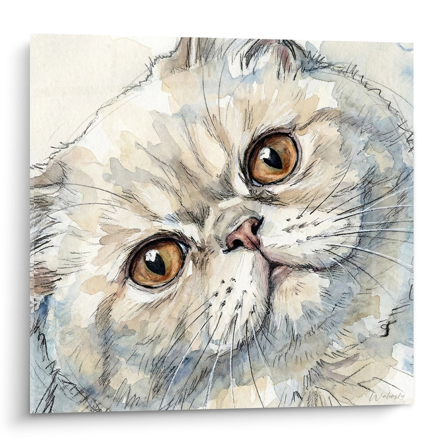 Tableau chat Exotic Shorthair aquarelle - Regard Tendre - Edition chat Exotic Shorthair
