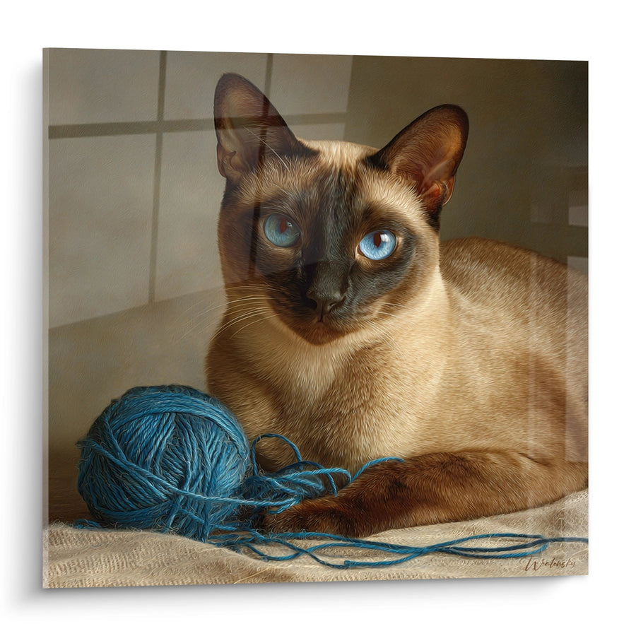 Tableau Chat Tonkinois aux Yeux Bleus avec Pelote de Laine - Compagnon Artisan - Edition chat Tonkinese