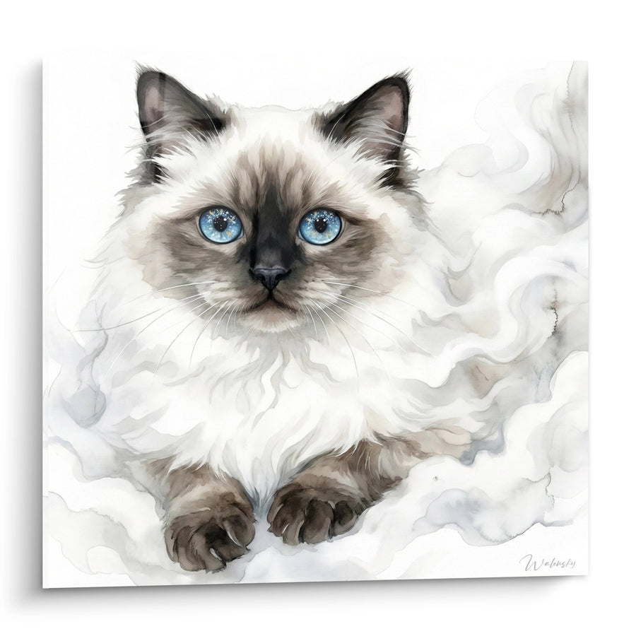 Tableau Chat Himalayan aux Yeux Bleus - Douceur Céleste - Edition chat Himalayan