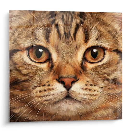 Tableau Ritratto Chat con Occhi Ambra - Sguardo Ipnotico - Edizione Gatto American Shorthair