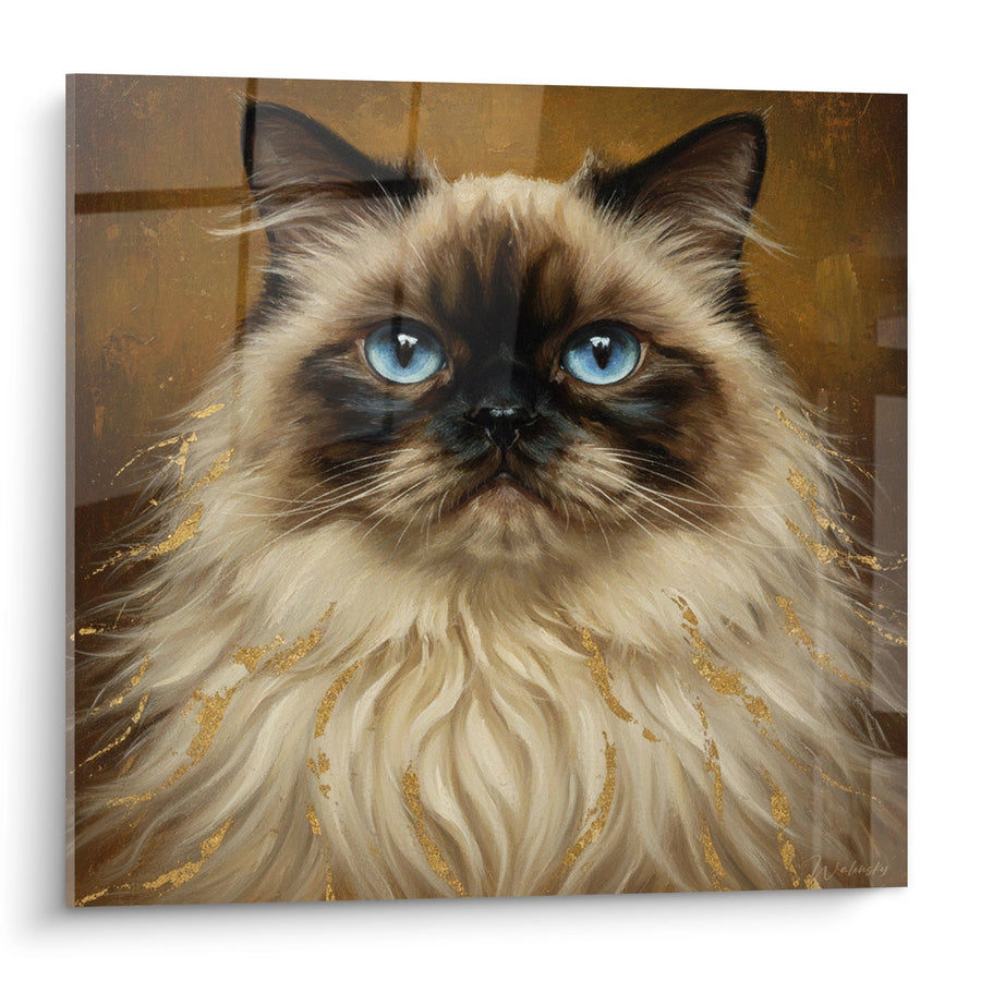 Tableau Chat Himalayen aux Yeux Bleus - Majesté Dorée - Edition chat Himalayan