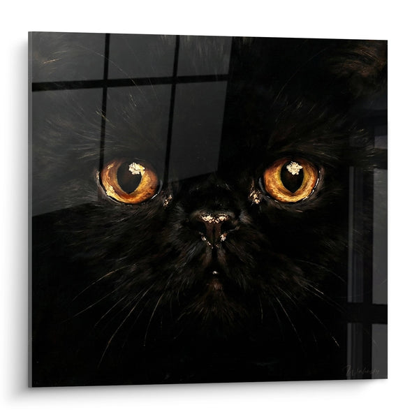 Cuadro Gato Negro con Ojos Ámbar - Mirada Intensa - Edición gato Exotic Shorthair