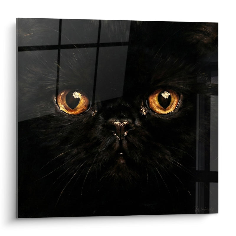 Tavolo Chat Noir con occhi ambra - sguardo intenso - Edizione gatto Exotic Shorthair