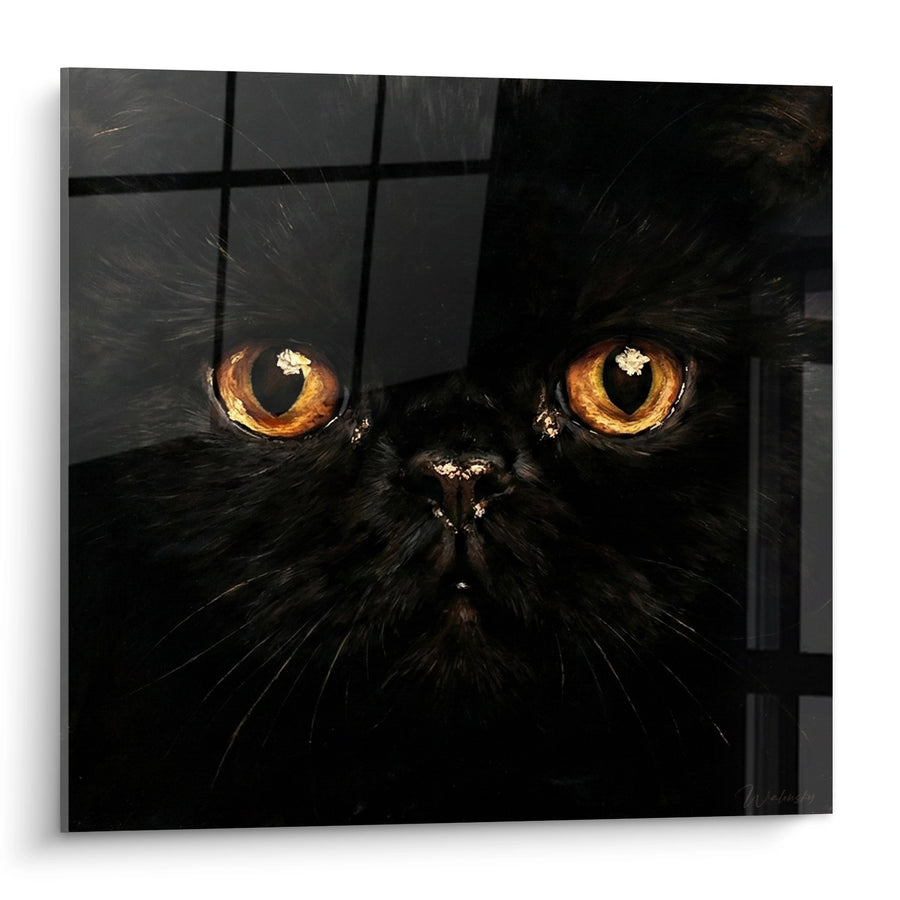 Tableau Chat Noir aux Yeux Ambrés - Regard Intense - Edition chat Exotic Shorthair
