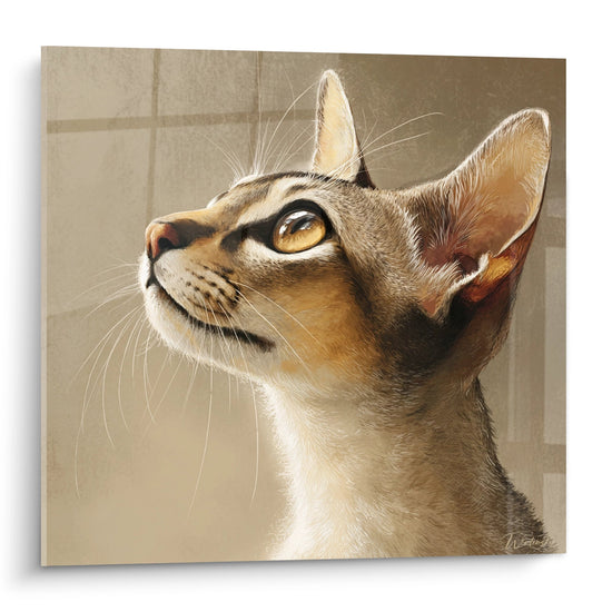 Quadro artistico gatto Singapura con sguardo contemplativo rivolto verso l'alto, pelliccia marrone e beige dettagliata