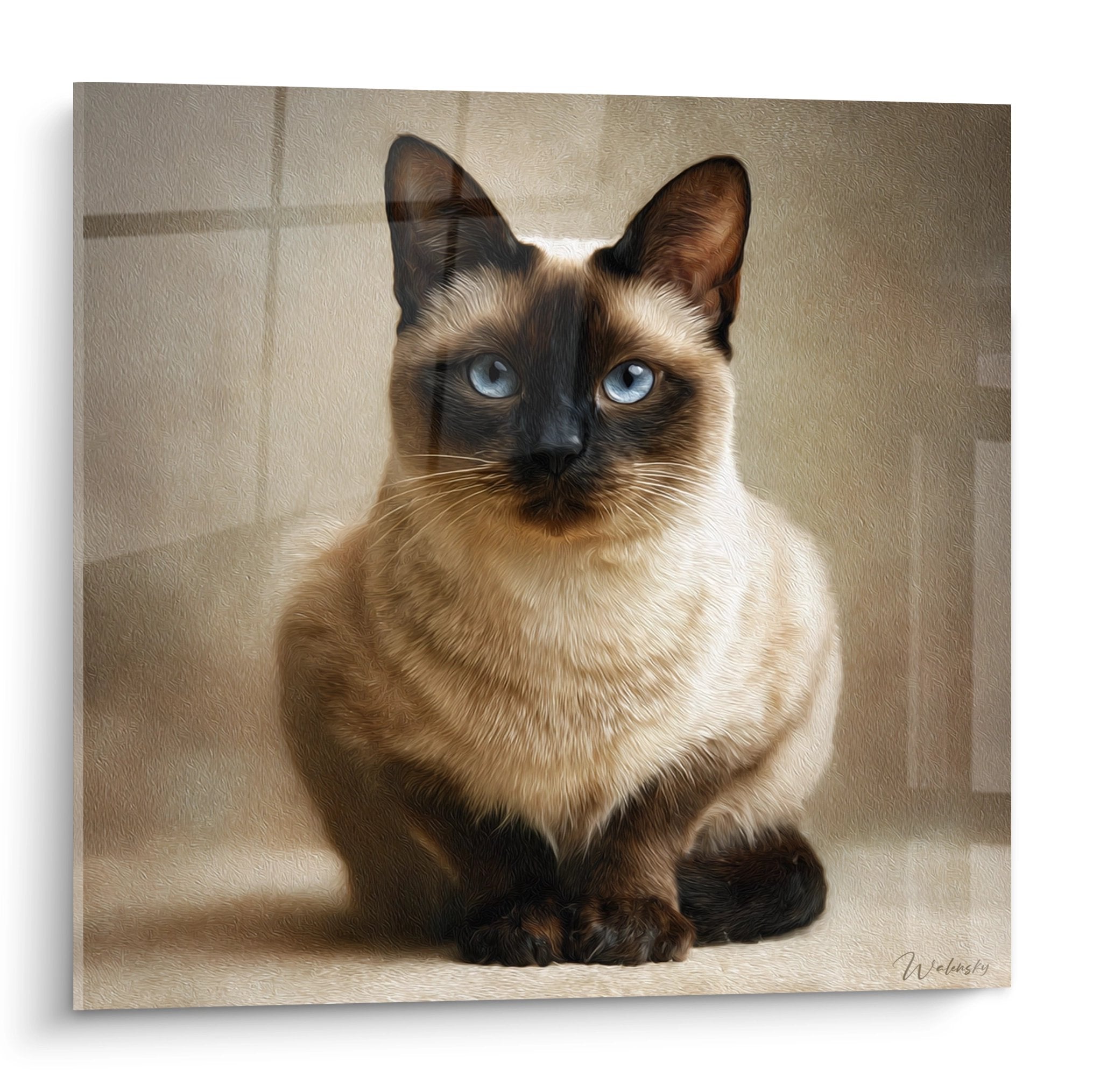 Tableau artistique chat Burmese aux yeux bleus, pelage chocolate point, pose majestueuse sur fond neutre