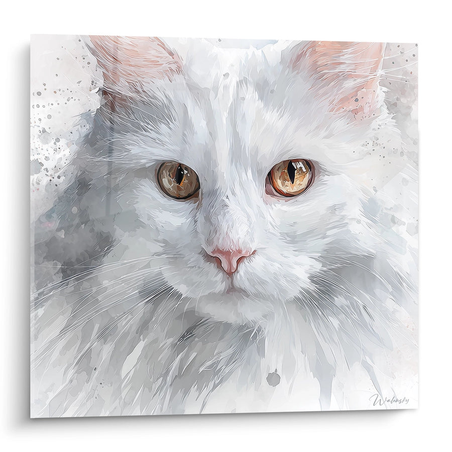 Tableau Chat Turkish Angora Blanc - Regard Ambré - Edition chat Turkish Angora