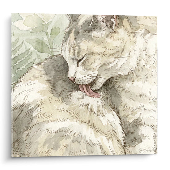 Schilderij Maine Coon Kat Aquarel - Kattens Zachtheid - Editie Maine Coon
