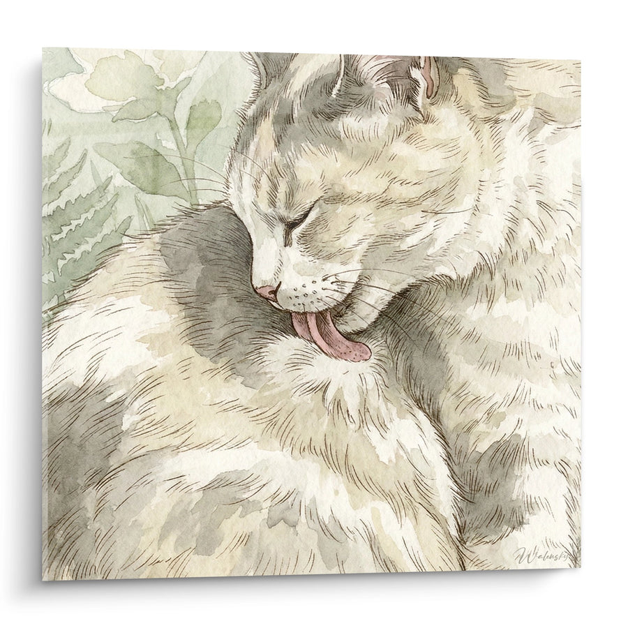 Tableau Chat Manx Aquarelle - Douceur Féline - Edition chat Manx