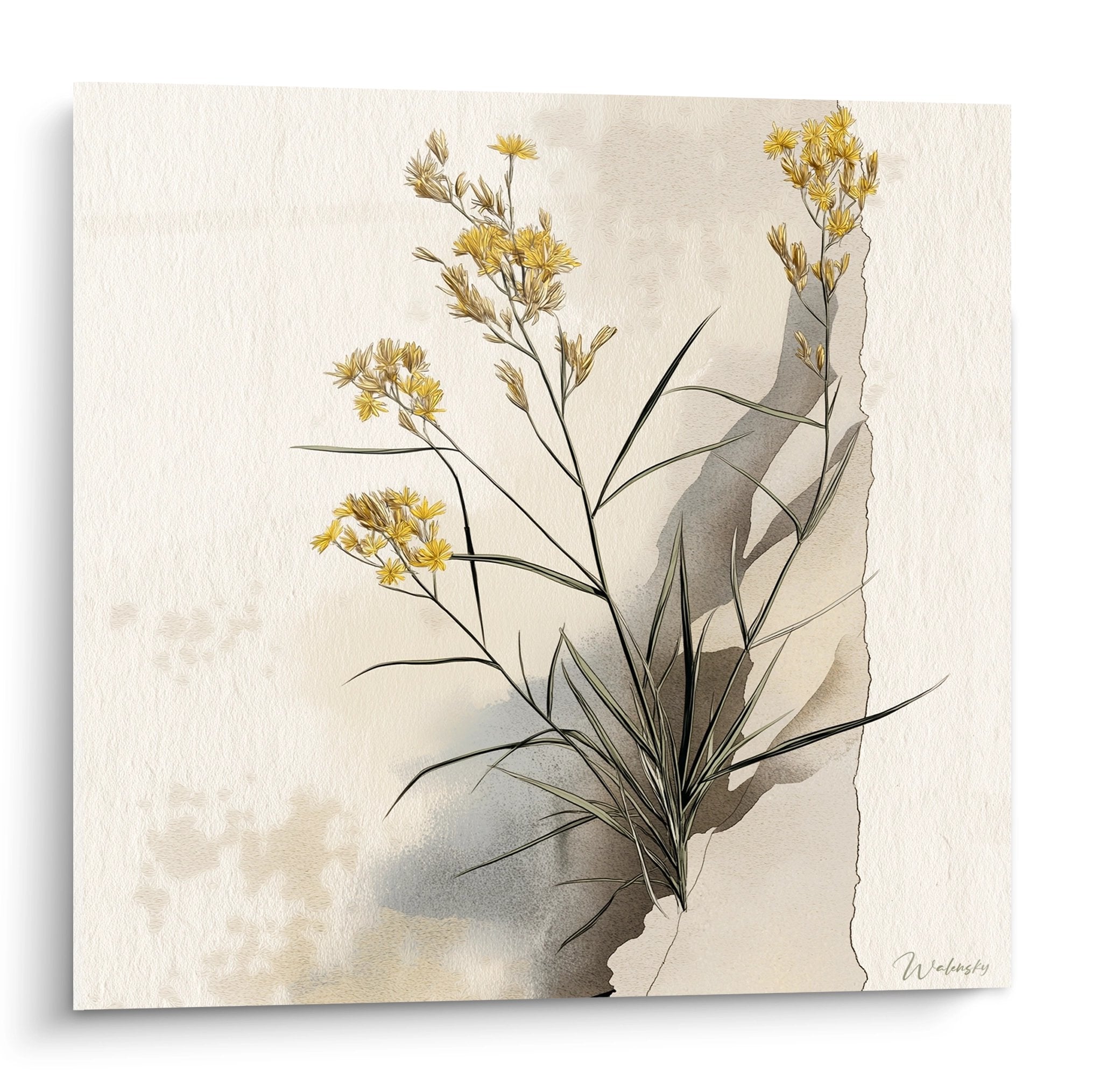 Tableau fleurs sauvages botaniques aux tons dores et beiges sur fond neutre style contemporain decoration murale