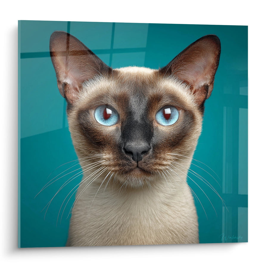 Tableau Chat Tonkinois aux Yeux Bleus - Portrait Moderne Turquoise - Edition chat Tonkinese