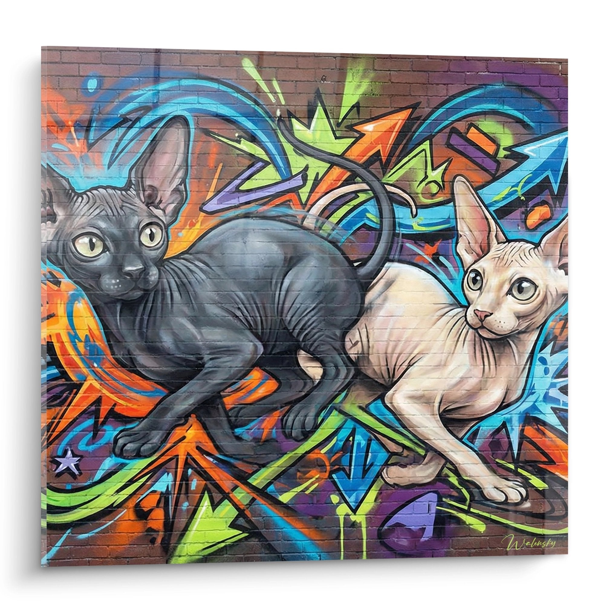 Tableau street art représentant deux chats Peterbald sur fond de graffiti coloré orange bleu et vert