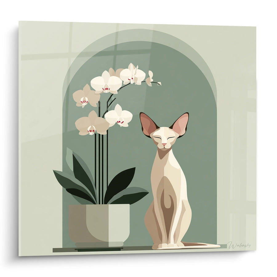 Cuadro Gato Esfinge y Orquídeas - Serenidad Zen - Edición gato Esfinge