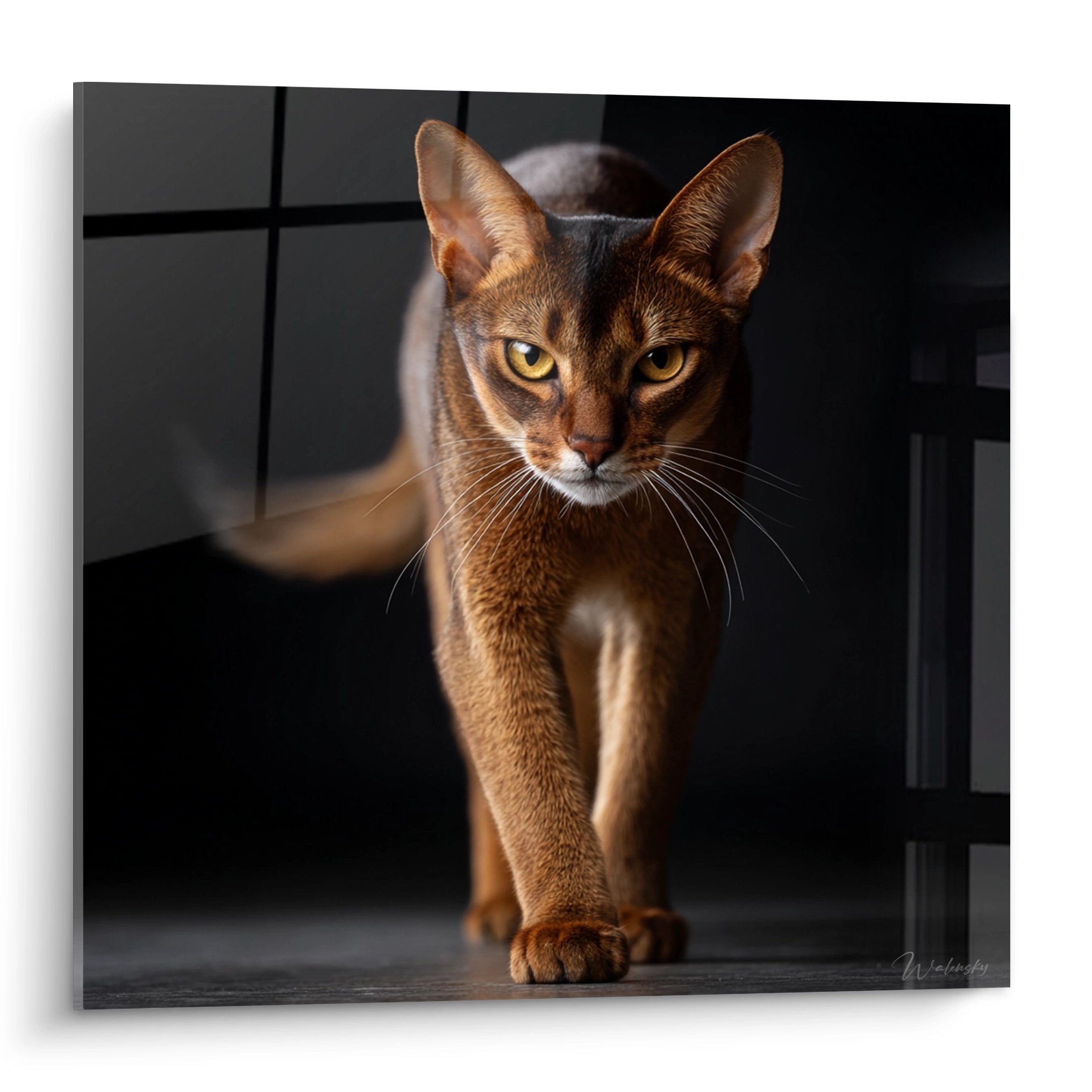 Ritratto artistico di gatto abissino rosso con occhi dorati su quadro murale decorativo di alta qualità