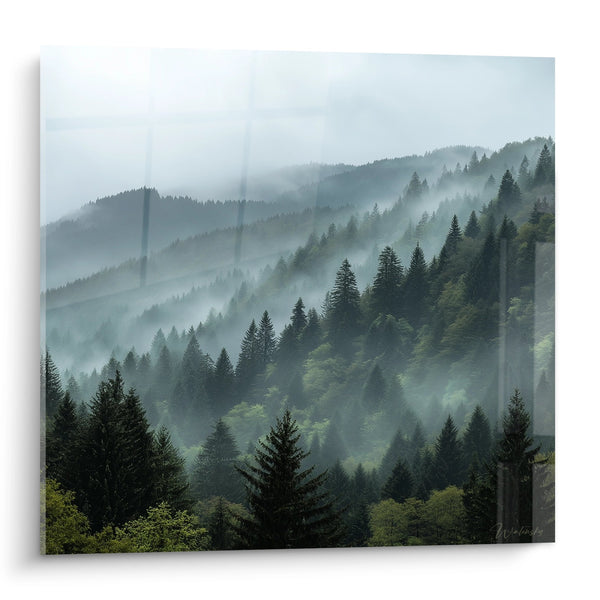 Vosges Forest Painting in Mist - Mysterious Valleys - Vosges Edition