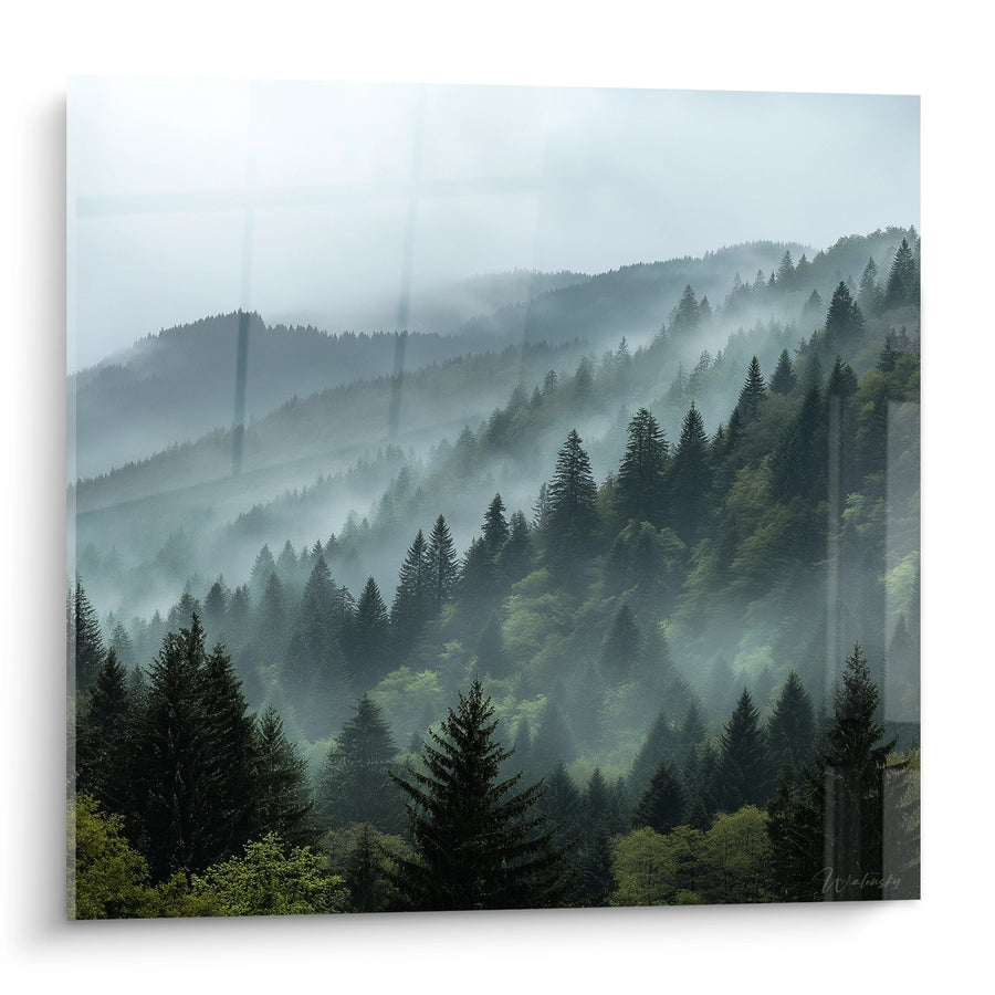 Tableau Forêt Vosgienne dans la Brume - Vallons Mystérieux - Edition Vosges