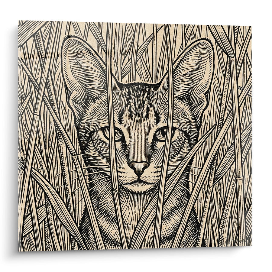 Tableau Chat dans les Roseaux - Gravure Sauvage - Edition chat Chausie