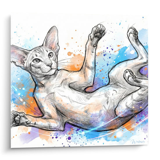 Cuadro Gato Siamés Aquarelle - Felicidad Colorida - Edición gato Siamés